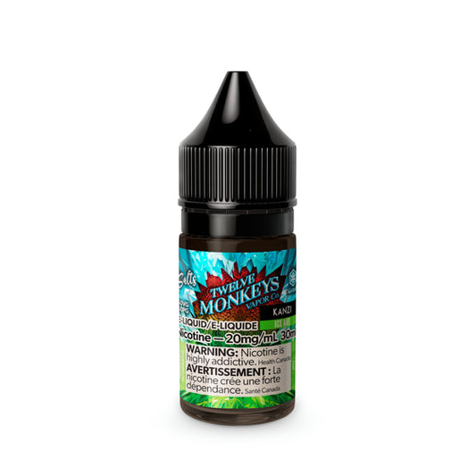 Twelve Monkeys Ice Age Salt Nic E-Juice 30ml bottle with icy blue label, ideal for vaping, 20mg nicotine strength.
