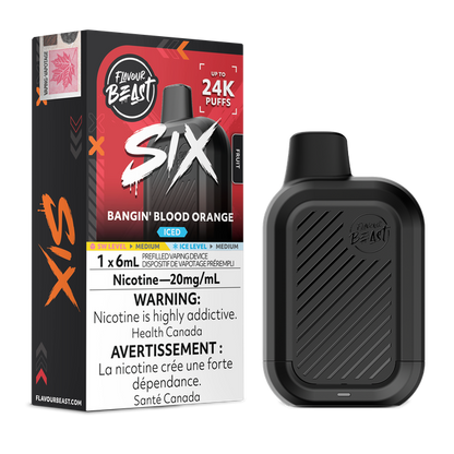 Flavour Beast SIX 24K disposable vape device with sleek design and branding, displayed on a neutral background.