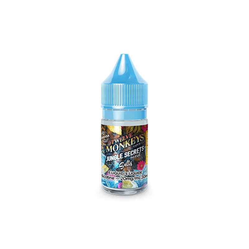 Twelve Monkeys Ice Salt Nic 30 ML - VAPEPUB