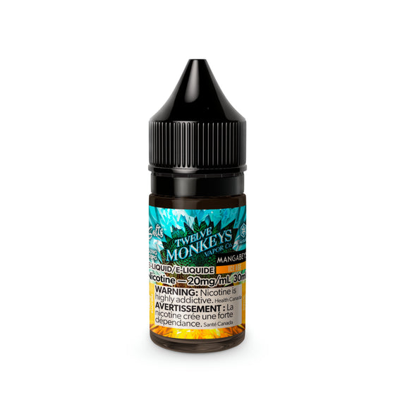 Twelve Monkeys Ice Age Salt Nic E-Juice 30ml bottle with icy mint flavor, designed for vape devices, in a clear plastic bottle.